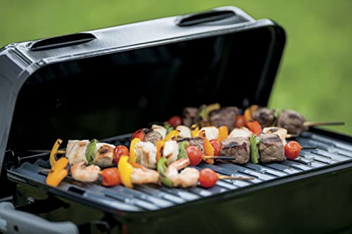 Weber Go-Anywhere BBQ Grill - Portable Camping BBQ