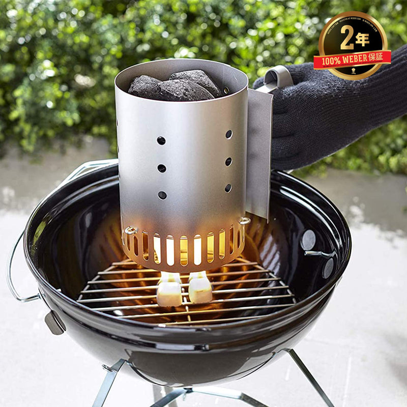 Weber Go-Anywhere BBQ Grill - Portable Camping BBQ