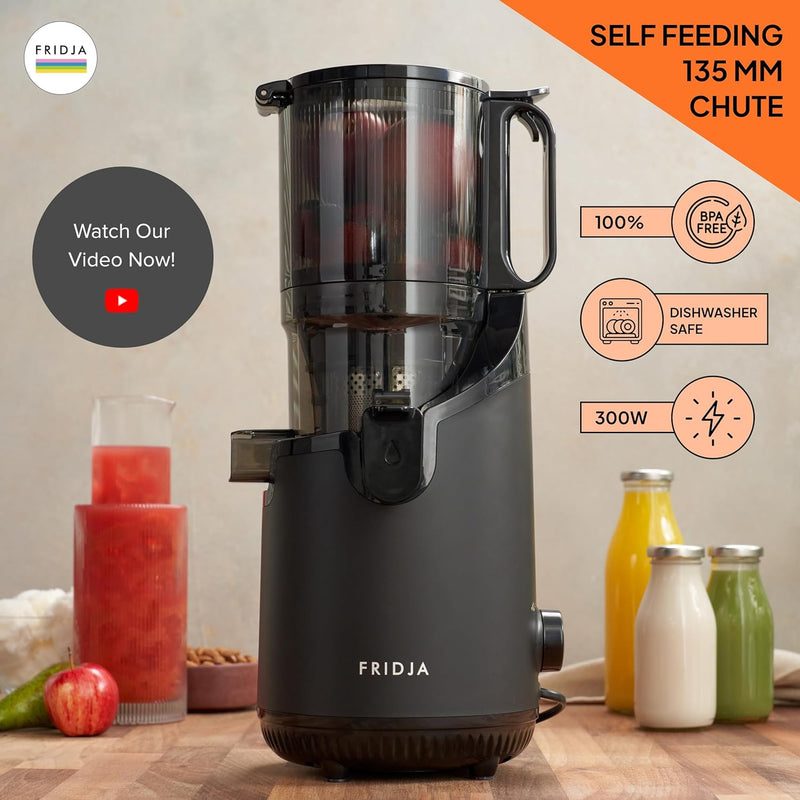 Powerful Self-Feeding Masticating Slow Juicer, 135mm Chute, 300W