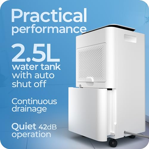 Avalla X-125 Smart Dehumidifier: 12L, Clothes Drying Mode