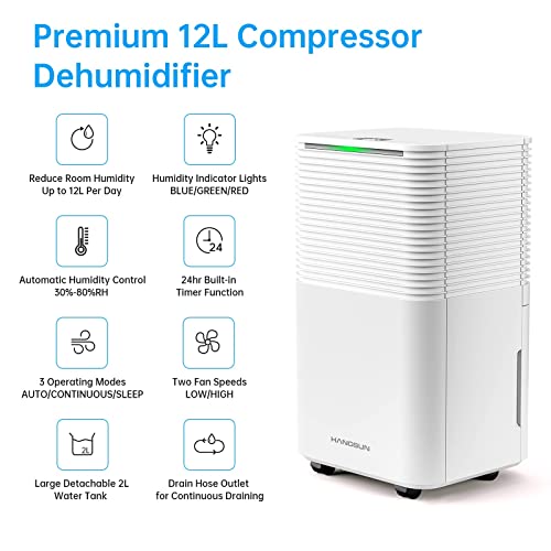 Hangsun 12L Dehumidifier, Digital Display, Sleep Mode, Laundry Drying