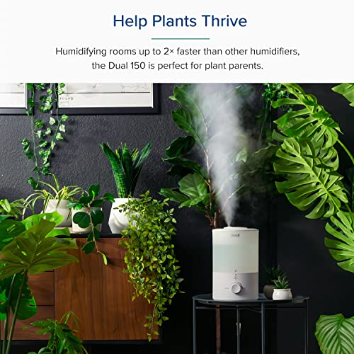 LEVOIT Smart Warm&Cool Humidifier: 4.5L, Top-Fill, Voice Control