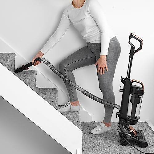 Beldray Turbo Swivel Upright Vacuum: Cyclonic, Lightweight