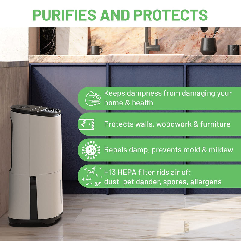 MeacoDry Arete One 12L Dehumidifier & Air Purifier, Energy-Efficient